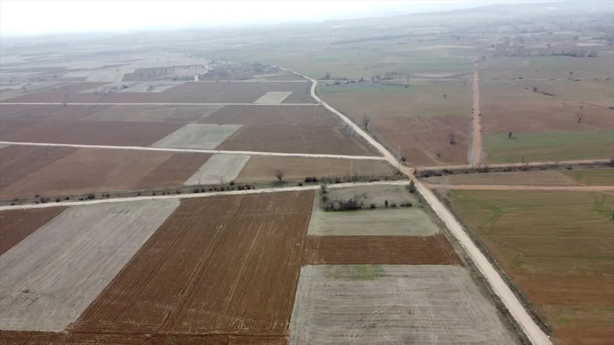 Eskişehir ve Kütahya’da Arazi Toplulaştırma Projesi Yeni Tapularla Tamamlandı