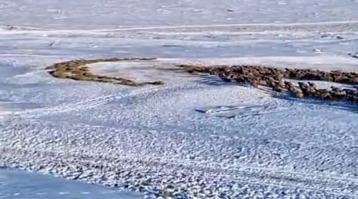 Kars’ta Genç Sürücü, Kar Üzerine Ay‑Yıldız Çizerek Gözleri Üzerine Çekti