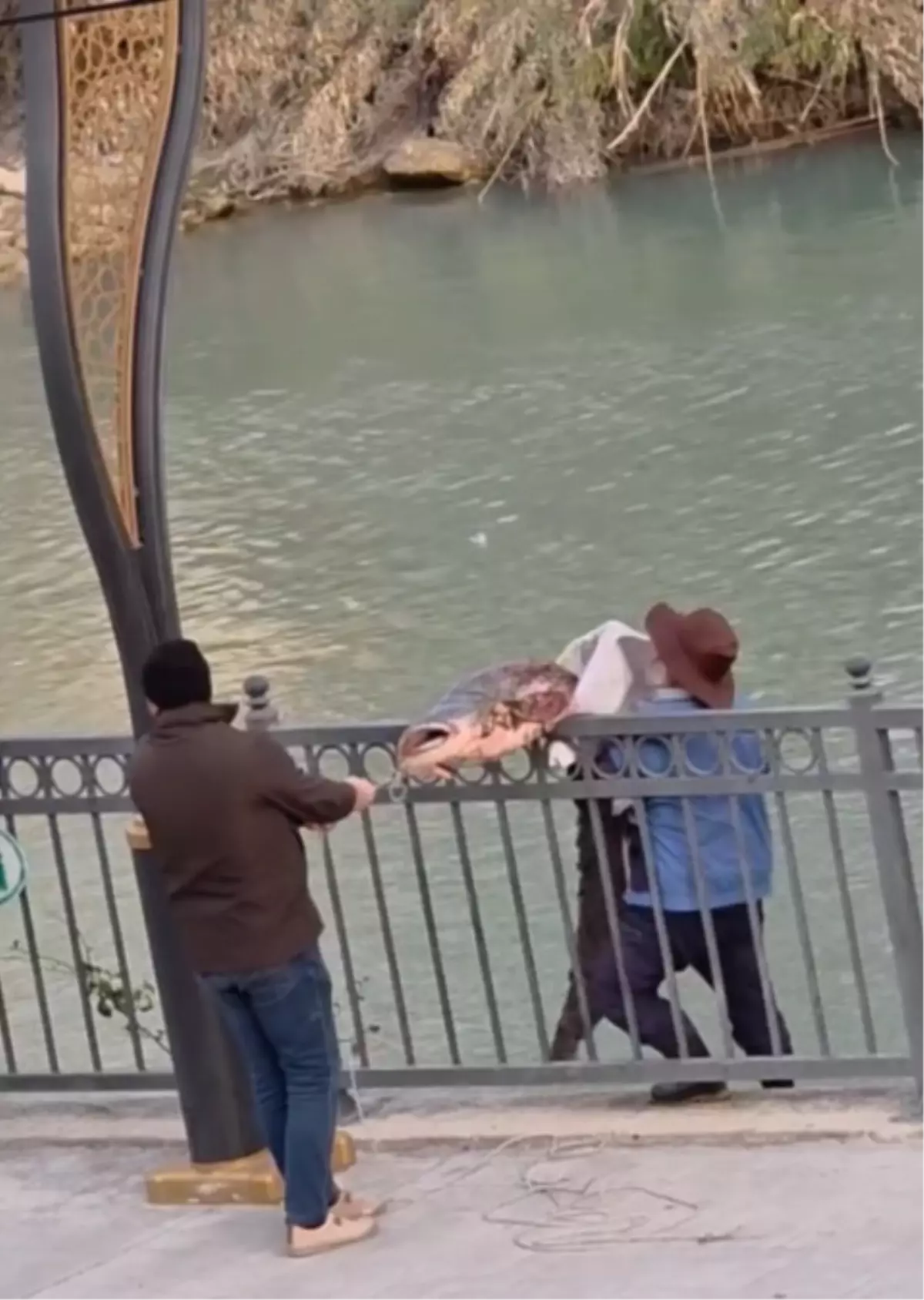 Silifke'de Amatör Balıkçıdan 30 Kiloluk Yayın Balığı Şaşkınlığı