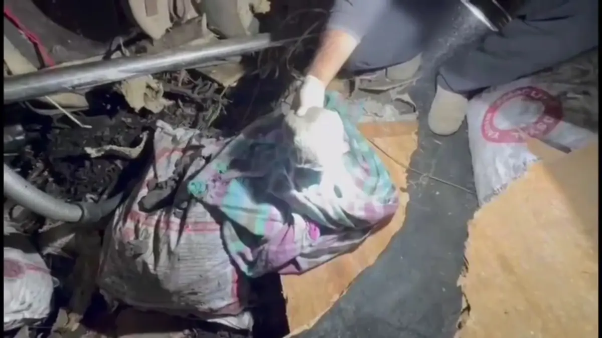 Sapanca’da Büyük Uyuşturucu Operasyonu: 6 Şüpheli Gözaltına Alındı