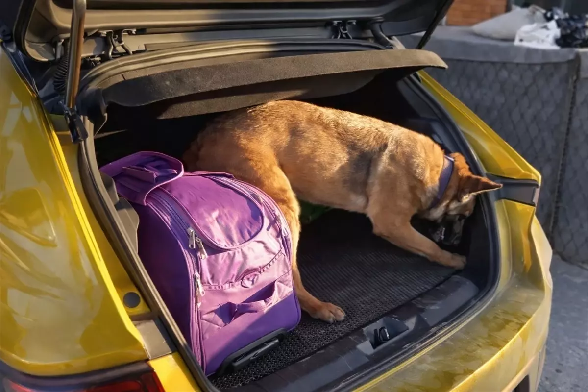 Havza’da 590 gram uyuşturucuya el konuldu: 5 şüpheli tutuklandı