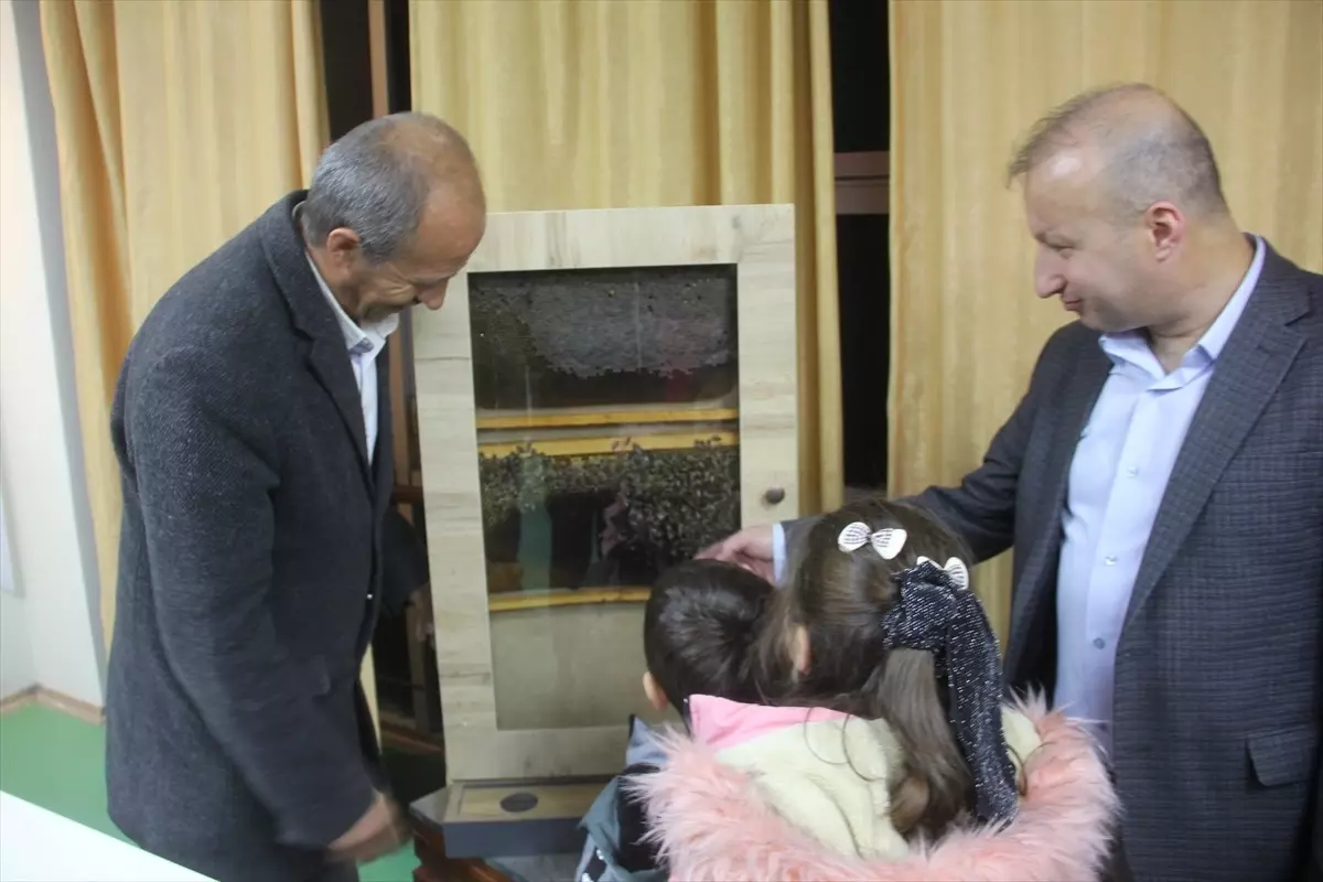 Zara’da Arıcılık Kursu Katılımcılarına Sertifikalı Eğitim Verildi