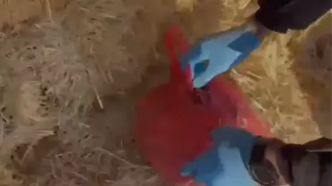 Ele geçirilen uyuşturucu paketleri