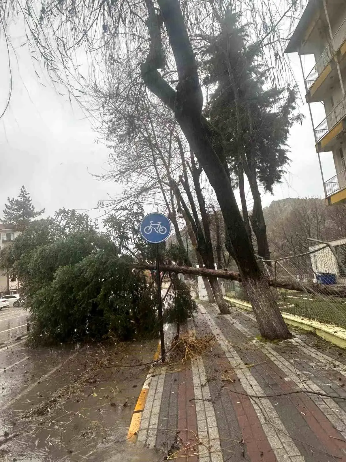 Balıkesir Dursunbey’de Şiddetli Fırtına Ağaçları ve Çatıları Uçurdu