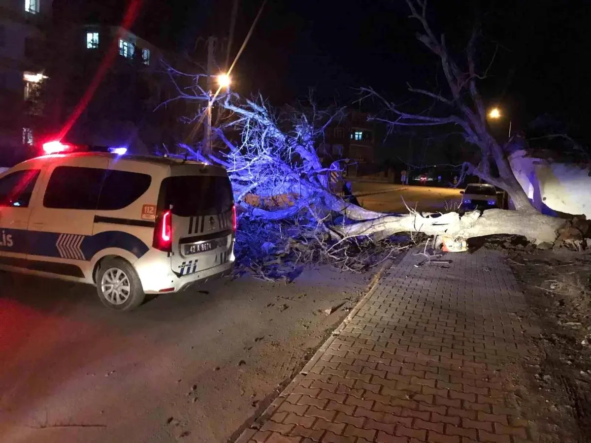Ereğli'de Şiddetli Rüzgar Çatı ve Ağaçları Yıktı, Tabelalar Uçtu