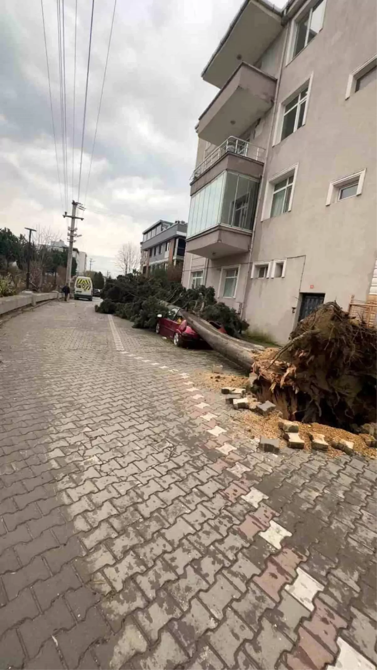 Yalova’da Şiddetli Fırtına Şehir Hayatını Felç Etti