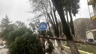 Dursunbey sokaklarında devrilen ağaç ve hasar görmüş evler