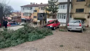 Gediz'de Şiddetli Rüzgar ve Sağanak Yağış Binaları ve Ağaçları Zarar Altına Aldı