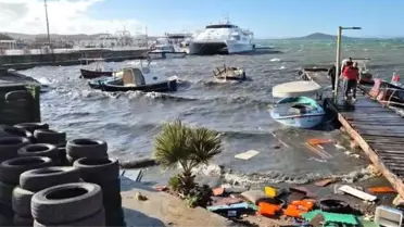 Ayvalık’ta Şiddetli Lodos: Tekne ve Ağaçlar Yıkıldı, Elektrik Kesintileri Yaşandı