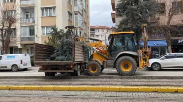 Şiddetli Rüzgar Eskişehir'de Yayaları ve Ağaçları Etkiledi