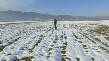 İslahiye’de Kar Yağışı Çiftçilere Umut Verdi