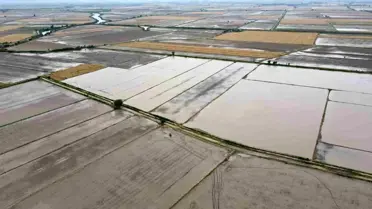 Söke 2026 tarım ürünleri grafiği