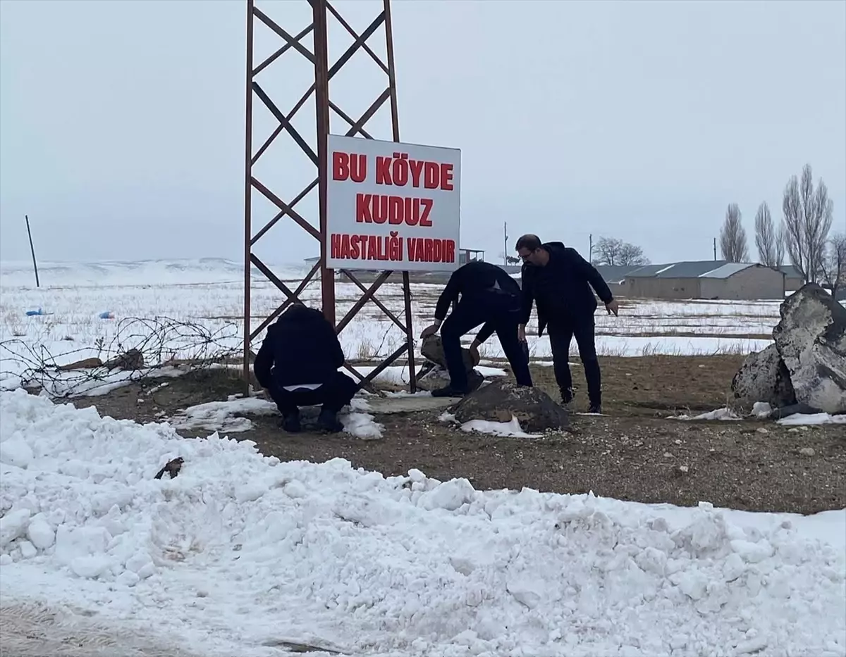 Bitlis’in Kömürlü Köyü’nde Kuduz Nedeniyle Karantina Uygulandı