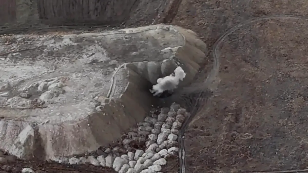 Erzurum 2. OSB'de Top Mermisi Arama ve İmha Çalışmaları Hız Kazandı