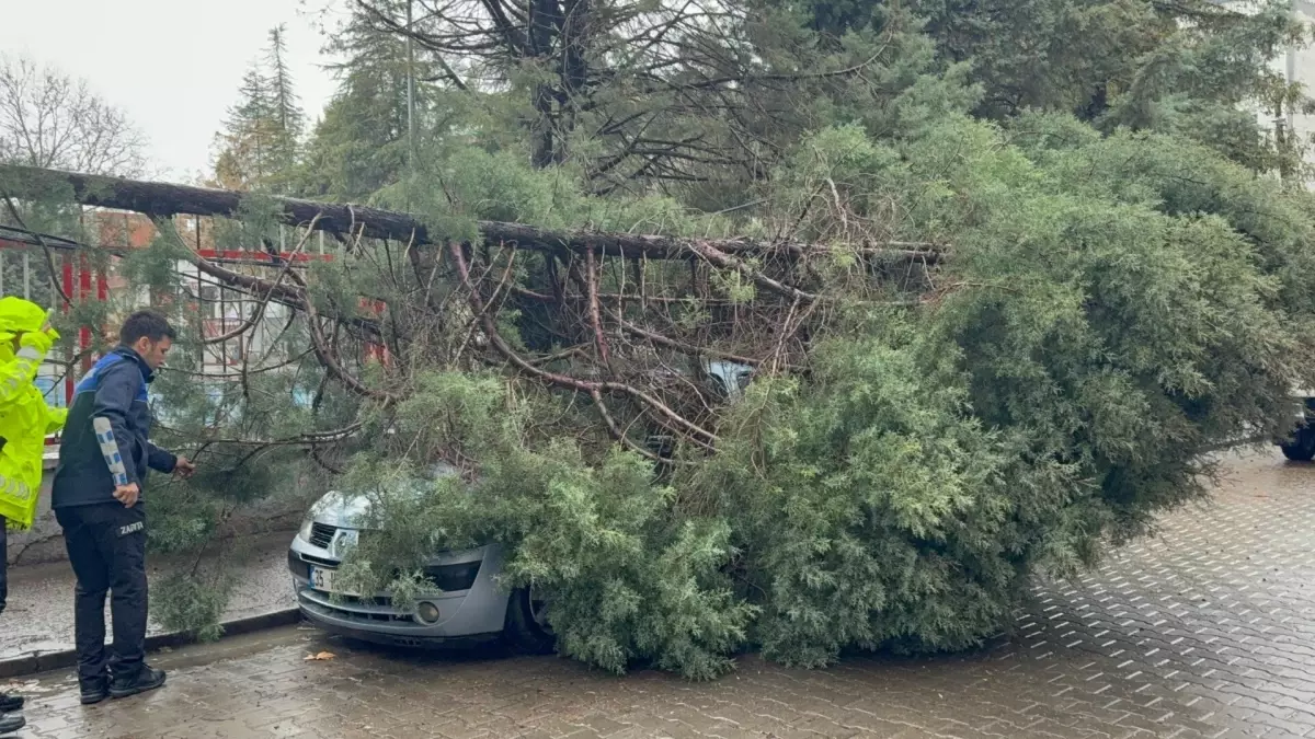 Manisa’da Şiddetli Sağanak ve Kuvvetli Rüzgar Felaketi: Çatı ve Ağaçlar Yer Değiştirdi