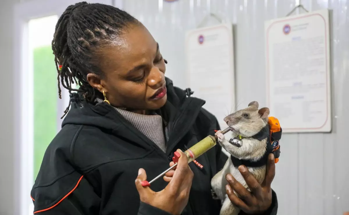 Antalya’da “Kahraman Fareler” Projesiyle Arama‑Kurtarma Çalışmalarına Yeni Bir Soluk