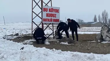 Kömürlü köyünde karantinaya alınan evcil hayvanlar
