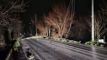Çorum'da Şiddetli Rüzgar Elektrik Kesintilerine ve Trafik Aksamasına Yol Açtı