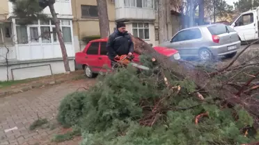 Fırtına sonrası çatıların uçtuğu ev