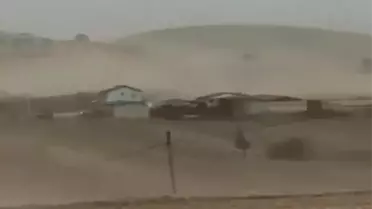 Devrilen ağaç ve yıkılan çatıların fotoğrafı