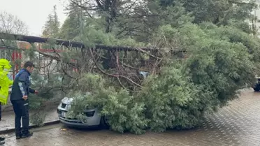 Uçan çatı parçaları
