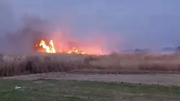 Milleyha Kuş Cenneti'nde yangın söndürülürken