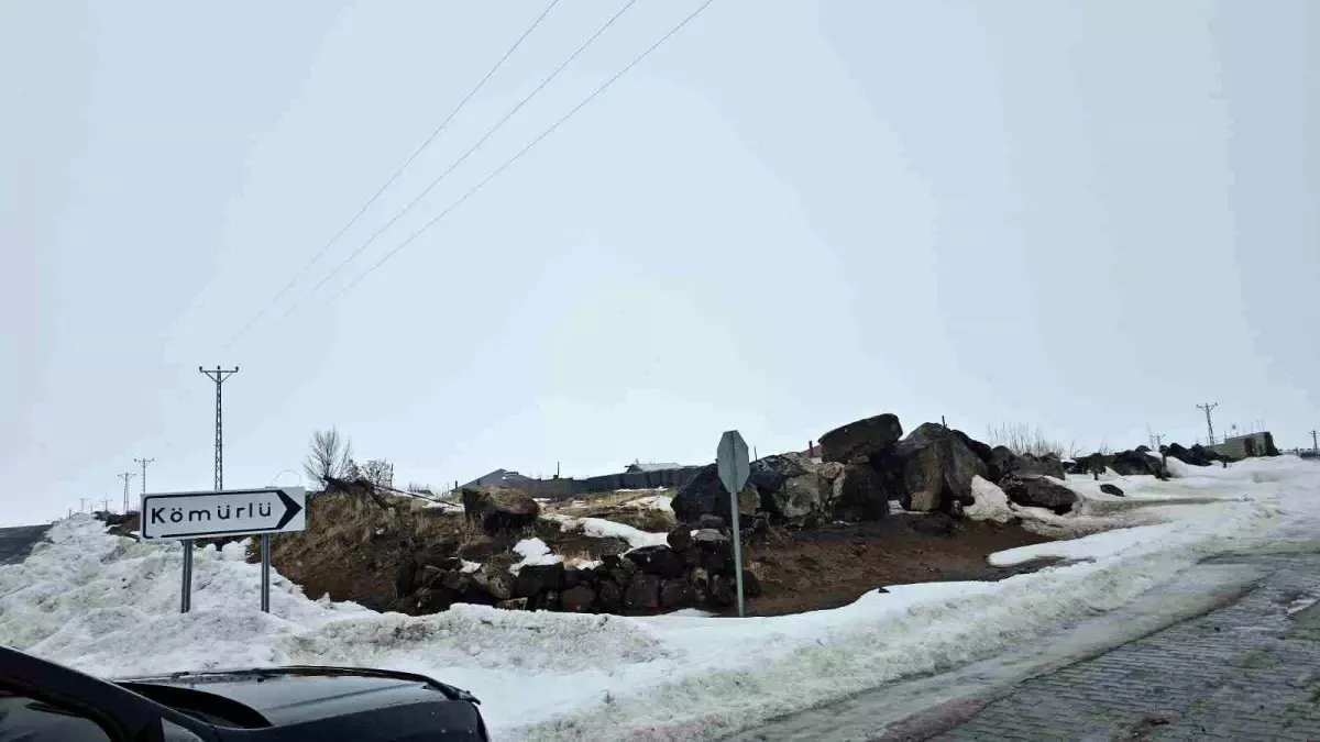 Kömürlü Köyü'nde Kuduz Alarmı: Hayvan Giriş-Çıkışı Yasaklandı