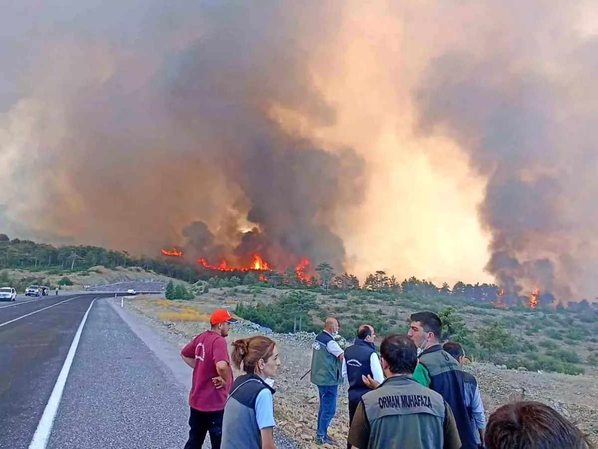 Bursa’da Orman Yangını Çıkaran Astsubayın Dava Dosyasına 15 Yıl Hapis Talebi