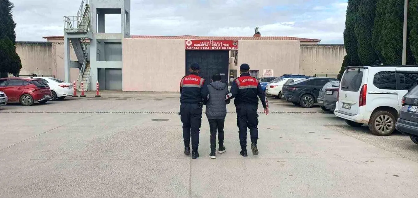 Sakarya’da Jandarma Operasyonu: 301 Şahıs Gözaltına Alındı