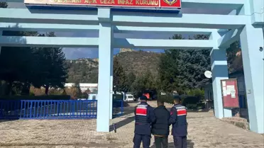 Operasyonda tutuklanan şüpheli