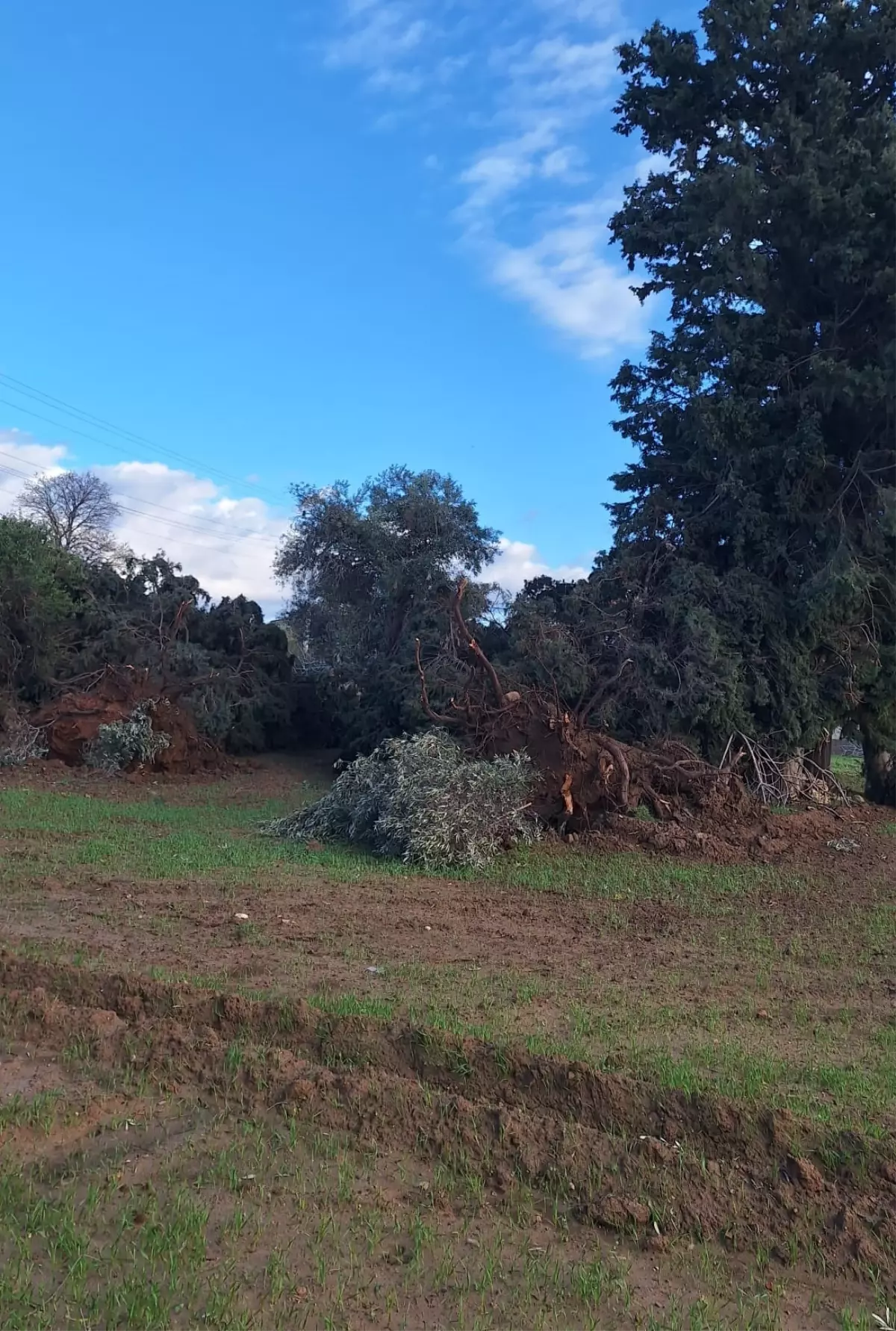 Manavgat'ta Şiddetli Hortum Yıkımı: Evler, Araçlar ve Seralar Ağır Hasar Aldı