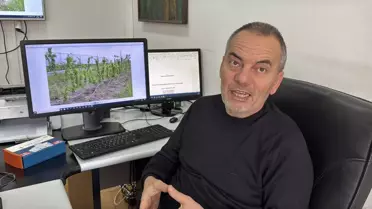 Don sonrası meyve ağaçları