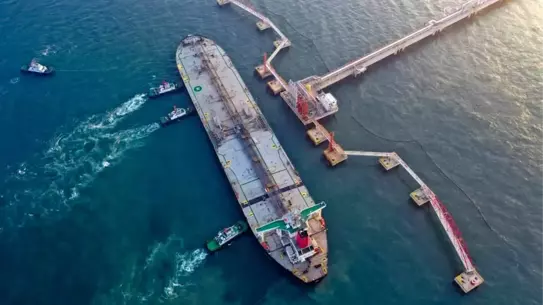 Yangpu Limanı 2025'te Konteyner Trafiğinde Rekor Artışa Ulaştı