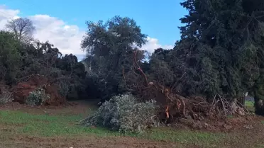 Hortumun yıkım sonrası görüntüsü