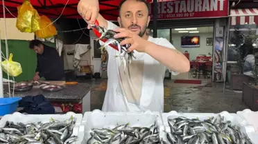 Zonguldak’ta İstavrit Fiyatı 100 TL’ye Sabitlendi: Balıkçılar Uyarıyor