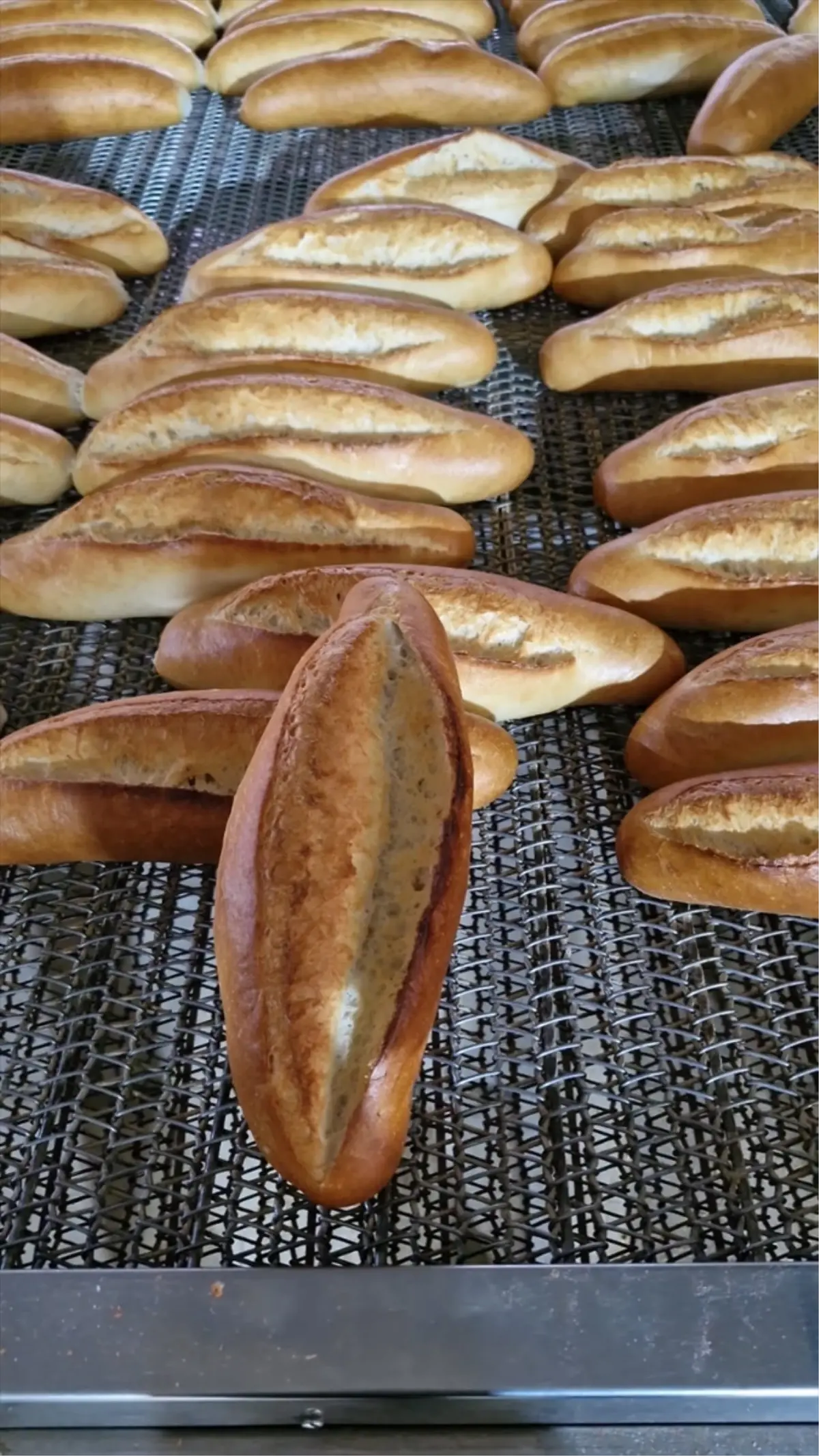 Batman Belediyesi 6.550 Aileye Günlük 40 Bin Ekmek Üretimiyle Destek Sağladı