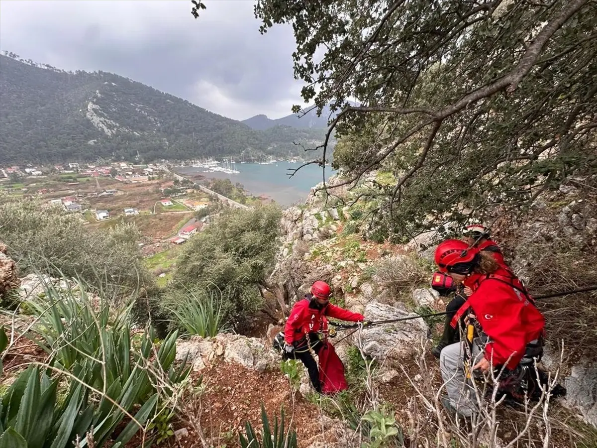 Marmaris Kayalıklarında Mahsur Kalan Hayvanlar AKUT ile Kurtarıldı