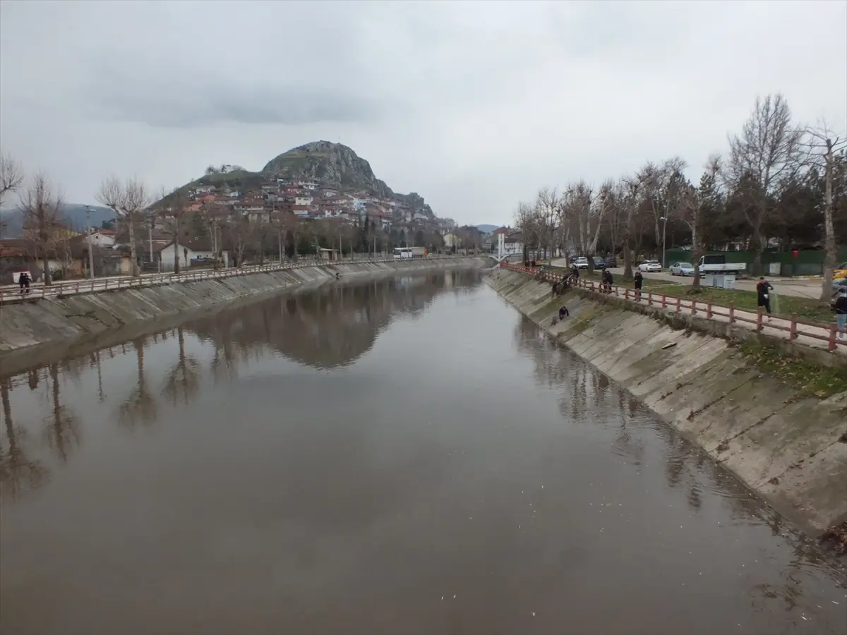 Tokat’ta Yeşilırmak’ta Balık Ölümleri Alarm Verdi