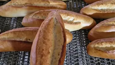 Ekmek üretim tesisi