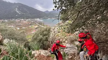 AKUT ekibi hayvanları kurtarıyor