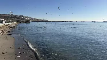 Tekirdağ limanından deniz ulaşımı