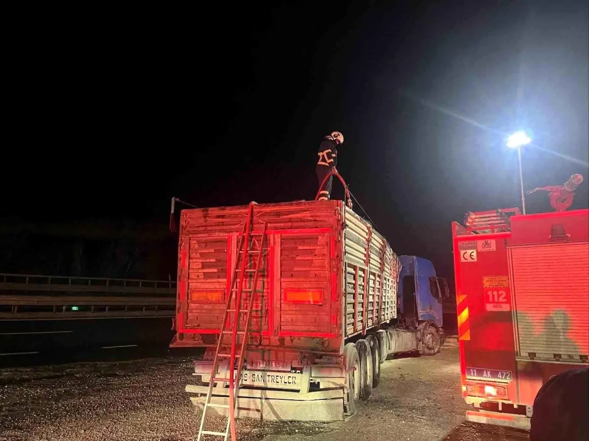 Bilecik'te Talaş Yüklü Tır Dorsesinde Ani Yangın