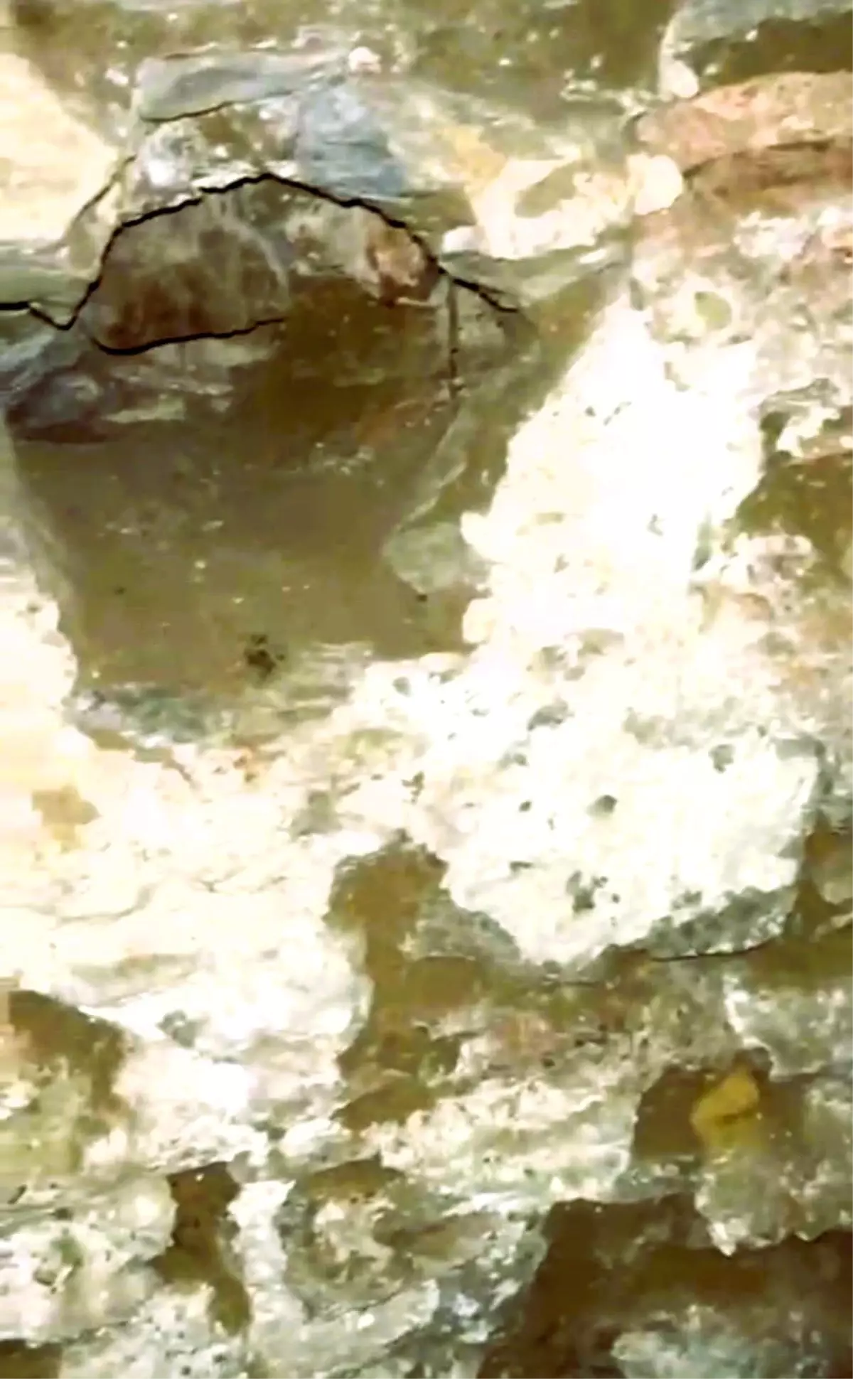 Denizli Buldan’da 300 Yıllık Tarihi Hamamda Kaçak Kazı Operasyonu