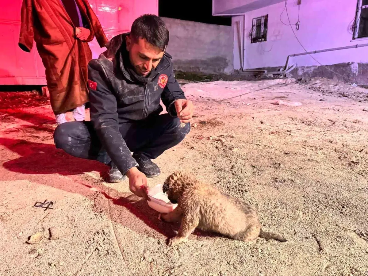 Şanlıurfa'da 20 Metrelik Sondaj Kuyusundan Yavru Köpek Hayatını Kurtardı