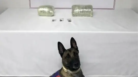 Şanlıurfa’da Polis 2 Kilogram Kubar Esrarı Ele Geçirdi