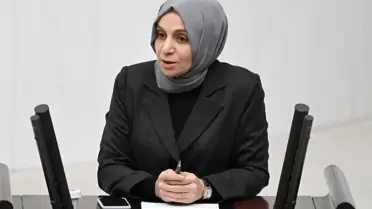 TBMM'de Leyla Şahin Usta'ya destek veren dernek temsilcileri