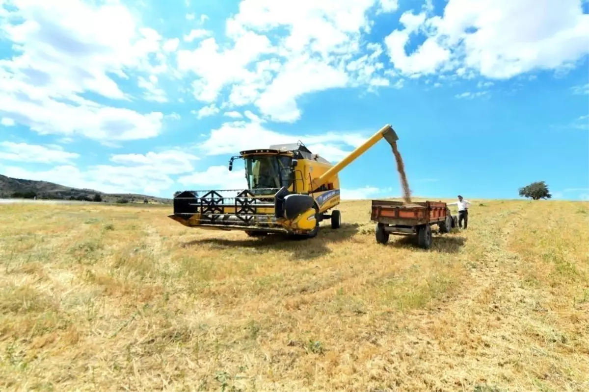 Bayburt'ta Hayvancılık Destek Programı Hayata Geçti: Büyükbaş ve Küçükbaş Üreticilere %40 Yem İndirimi