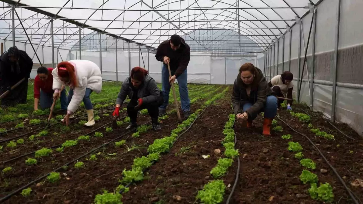 Kocaeli Tarım Akademisi'nden Genç ve Kadın Çiftçilere Modern Tarım Eğitimi