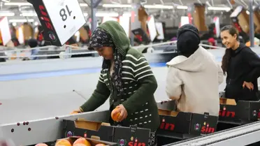 Doğu Akdeniz’den taze meyve ve sebze ihracatı