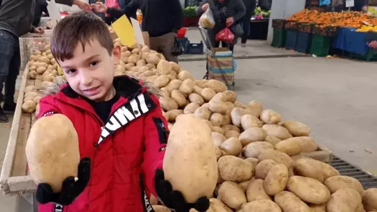 Satışa sunulan dev patatesler